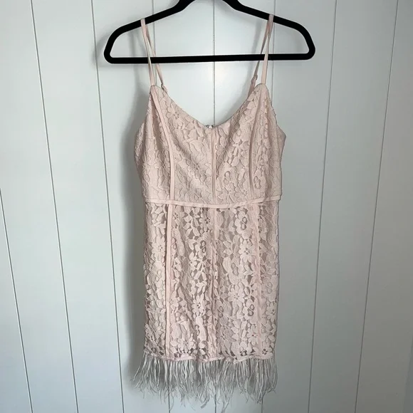 NWT GB Lace Feather Trim dress